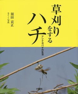 草刈りをするハチ アシナガバチの生活/須田貢正