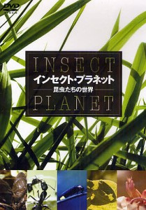 DVD インセクト・プラネット-昆虫たち