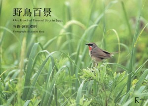 野鳥百景/庄司雅則