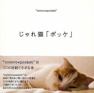 じゃれ猫「ポッケ」/飯塚水葉