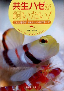 共生ハゼが飼いたい! エビと暮らすかわいいハゼのすべて/円藤清