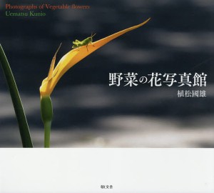 野菜の花写真館/植松國雄