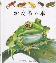 かえるの本/ダニエル・モアノ/手塚千史