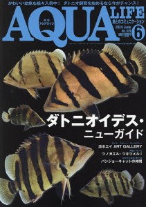 月刊アクアライフ 2024年6月号