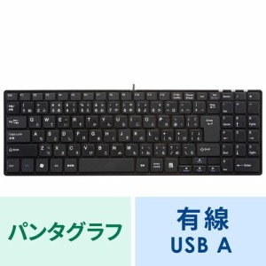 薄型 USBキーボード テンキー付き ブラック[SKB-SL17BKN]