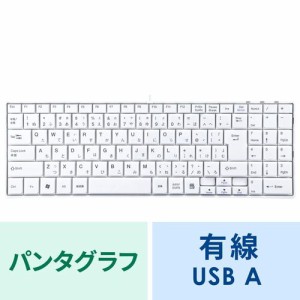 薄型 USBキーボード テンキー付き ホワイト[SKB-SL17WN]