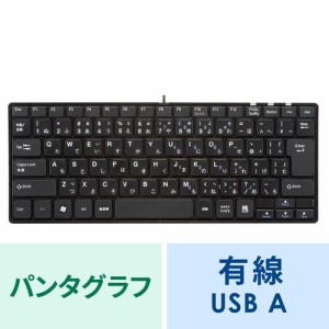 薄型 USBキーボード ブラック テンキー無し 小型キーボード[SKB-SL18BKN]