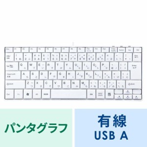 薄型 USBキーボード ホワイト テンキー無し 小型キーボード[SKB-SL18WN]