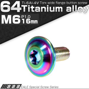 チタンボルト M6×16mm P1.00 ボタンボルト 頭部径16mm トルクス穴 レインボー JA161