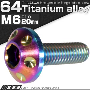 チタンボルト M6×20mm P1.00 頭部径14mm ボタンボルト 六角穴 レインボー ホール JA164