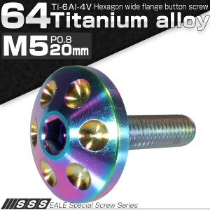 チタンボルト M5×20mm P0.80 頭部径18mm ボタンボルト 六角穴 レインボー ホール JA166