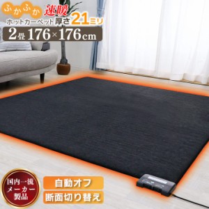 ホットカーペット ふかふか遠赤省エネ電気カーペット  暖かい 176×176 春 夏 暖房器具 暖房 2畳用 あったかグッズ コンパクト収納 こた