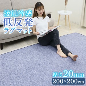 冷感ラグ ラグ 低反発  ひんやり 接触冷感ラグ 200×200 洗える ひんやりラグ 夏用 冷感 厚手 正方形 洗える ふかふか 厚さ20mm ラグマッ