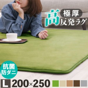  高反発ラグマット 厚さ25mm 200×250cm  ラグ 厚手 滑り止め ラグマット カーペット ホットカーペット対応 リビング 春 夏 用 フリーリ