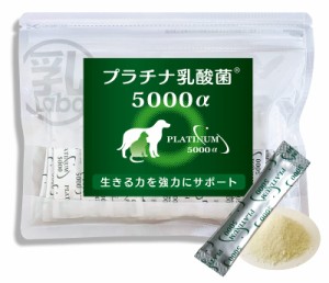 乳酸菌ラボ 公式 猫 乳酸菌 サプリ 犬用 猫用 プラチナ乳酸菌5000α（30包入） ペットサプリ 便秘 免疫 整腸 口内ケア 目やに