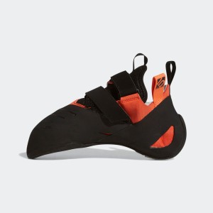 dragon adidas online kopen