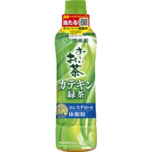 (ケース販売)伊藤園 PET 2つの働きカテキン緑茶 500ml (×48本セット) 特定保健用食品 |b04