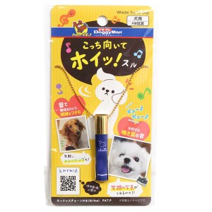 （まとめ）こっち向いてホイッ！スル【×5セット】 (犬用玩具)【メーカー直送】代引き・銀行振込前払い不可・同梱不可