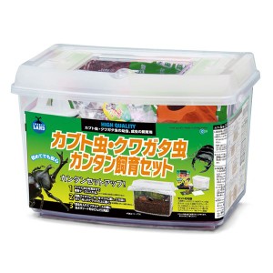 カブト虫・クワガタ虫 カンタン飼育セット (昆虫用品) |b04