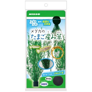 （まとめ）メダカのたまご産み草【×5セット】 (観賞魚/水槽用品)【メーカー直送】代引き・銀行振込前払い不可・同梱不可