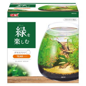 グラスアクア ティアー （観賞魚用品／水槽用品）【メーカー直送】代引き・銀行振込前払い不可・同梱不可