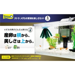 メダカの繁殖を楽しむセット S （観賞魚用品／水槽用品） |b04