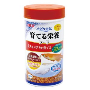 （まとめ）メダカ元気 育てる栄養フード 52g 熱帯魚用フード 【×5セット】【メーカー直送】代引き・銀行振込前払い不可・同梱不可