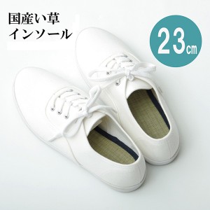 インソール/中敷き (約23cm) ネイビー 消臭 日本製 ムレ防止 クッション性 (靴) |b04
