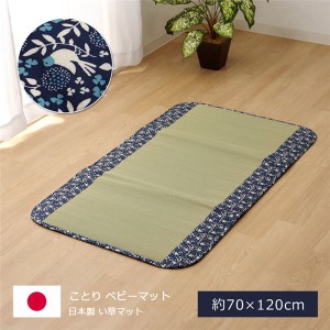 純国産 い草マット フリーマット ネイビー 約70×120cm（中材：固綿15mm） |b04