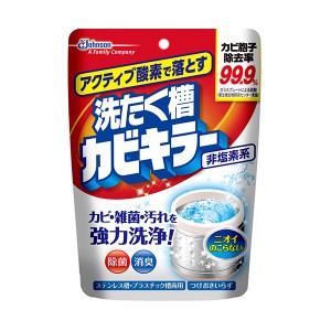 （まとめ）ジョンソンアクティブ酸素で落とす洗たく槽カビキラー（非塩素系）250g 1個(×20セット) |b04