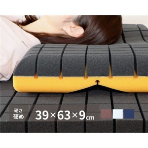 枕 約39×63×9cm ネイビー 日本製 抗菌 抗ウイルス 洗える 専用ネット使用 アラエルーノピロー ベッドルーム 寝室 |b04