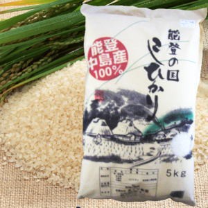 【無洗米】新米！石川県産100%！こしひかり2kg