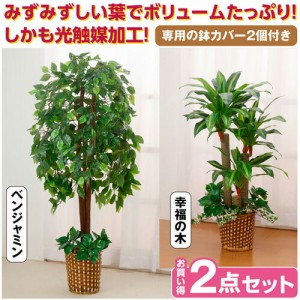 観葉植物 インテリアグリーン 2点セット 人工観葉植物 造花 光触媒 水やり不要 ベンジャミン 幸福の木 代引不可 送料無料 の通販はwowma ワウマ リコメン堂 商品ロットナンバー