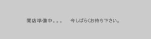 ★送料 - 別！　選択肢 - 複数　ab-test20170223-1