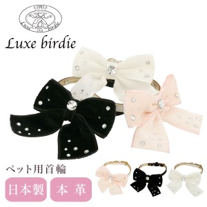 【レビュー投稿で+5％還元】リュクスバーディ 首輪 犬用 Mサイズ 小型犬 日本製 本革 Luxebirdie 9357 シェニールリボンカラー 25サイズ 