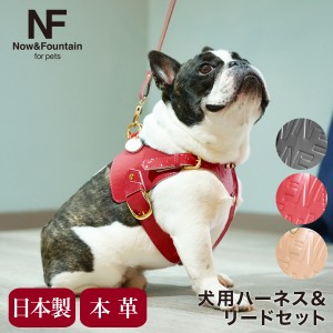 【レビュー投稿で+5％還元】エヌアンドエフ ペット ハーネス＆リードセット 小型犬 ハーネス ボディベルト リード おしゃれ レザー 本革 