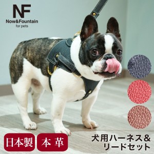 【レビュー投稿で+5％還元】エヌアンドエフ ペット ハーネス＆リードセット 小型犬 ハーネス ボディベルト リード おしゃれ レザー 本革 