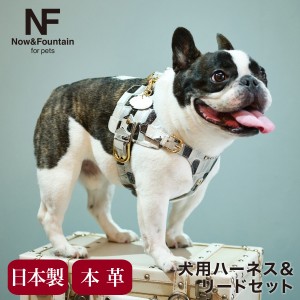 【レビュー投稿で+5％還元】エヌアンドエフ ペット ハーネス＆リードセット 小型犬 ハーネス ボディベルト リード おしゃれ レザー 本革 