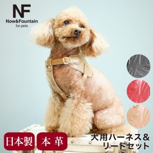 【レビュー投稿で+5％還元】エヌアンドエフ ペット ハーネス＆リードセット 小型犬 ハーネス ボディベルト リード おしゃれ レザー 本革 