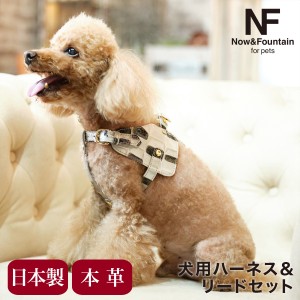 【レビュー投稿で+5％還元】エヌアンドエフ ペット ハーネス＆リードセット 小型犬 ハーネス ボディベルト リード おしゃれ レザー 本革 