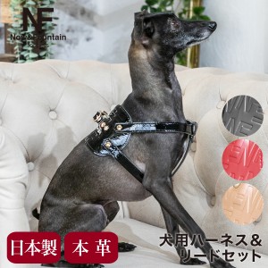 【レビュー投稿で+5％還元】エヌアンドエフ ペット ハーネス＆リードセット 小型犬 ハーネス ボディベルト リード おしゃれ レザー 本革 