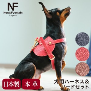 【レビュー投稿で+5％還元】エヌアンドエフ ペット ハーネス＆リードセット 小型犬 ハーネス ボディベルト リード おしゃれ レザー 本革 