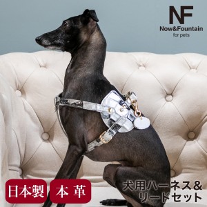 【レビュー投稿で+5％還元】エヌアンドエフ ペット ハーネス＆リードセット 小型犬 ハーネス ボディベルト リード おしゃれ レザー 本革 