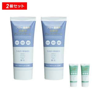 【10％OFFクーポン】プロ・業務用 高保湿ハンドクリーム 2個セット 正規品