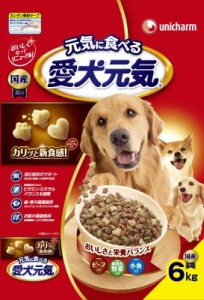 愛犬元気ビーフ・緑黄色野菜・小魚入り 6.0kg