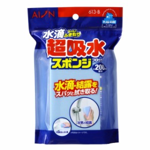 アイオン 水滴 超吸水スポンジブロック200ML