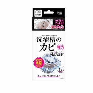 洗濯槽のカビ 丸洗浄 A剤200g B剤25g