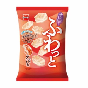 ◆岩塚 ふわっと やわらかえび味 45g【10個セット】