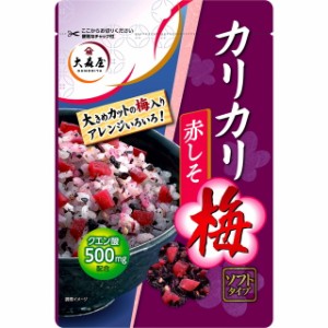 ◆大森屋 カリカリ梅 赤しそ 40G【10個セット】