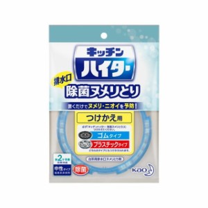 花王 キッチンハイター除菌ヌメリとり つけかえ用 1個